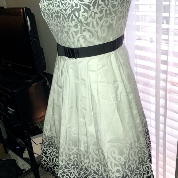 NEW White House Black Market Blackand white ombré 50’s Style Midi dress size 0 - Picture 14 of 16